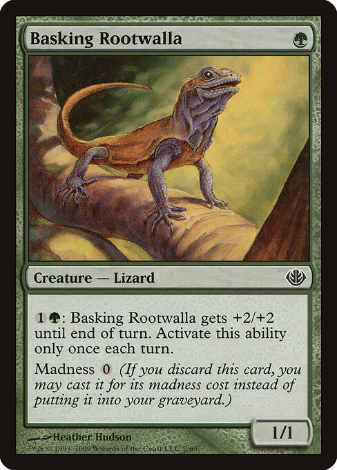 Basking Rootwalla 2