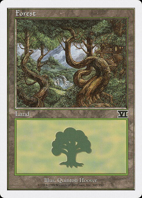 Forest 347