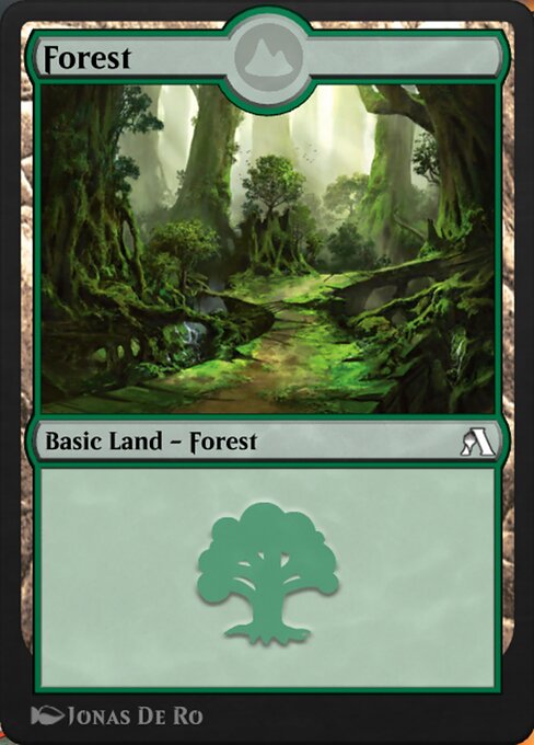 Forest 55