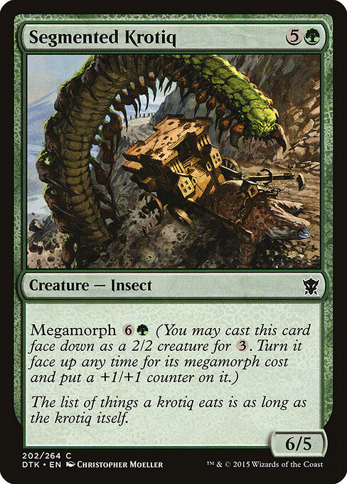 Segmented Krotiq 202