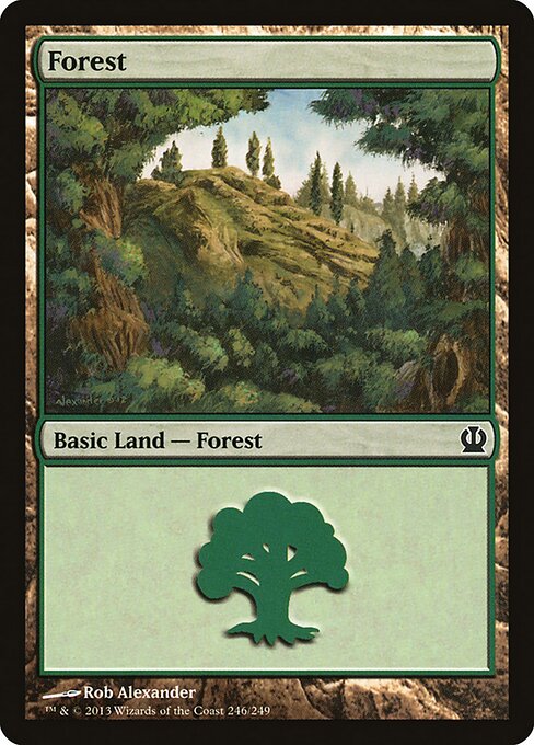 Forest 246