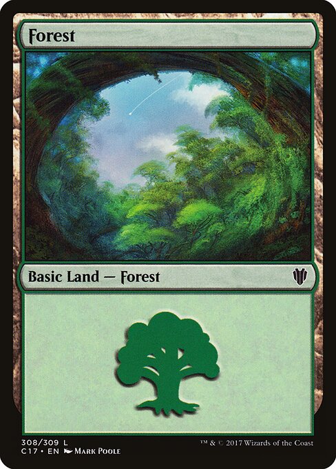Forest 308