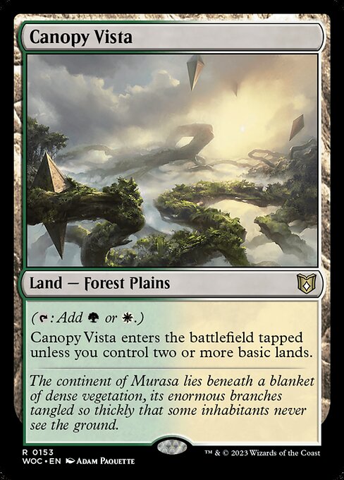 Canopy Vista 153