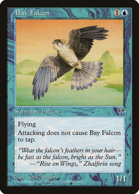 Bay Falcon 54