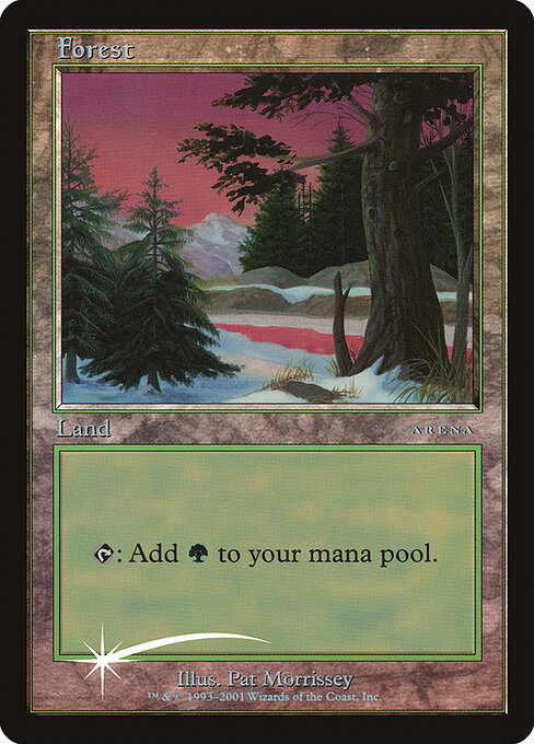 Forest 1