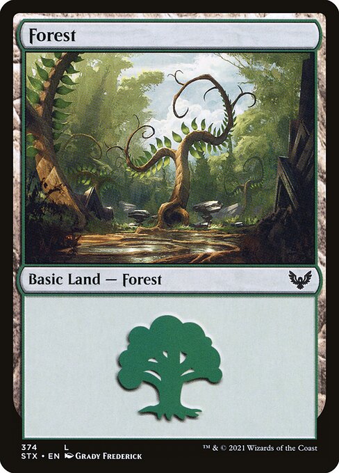 Forest 374