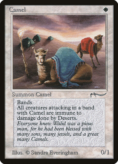 Camel 3