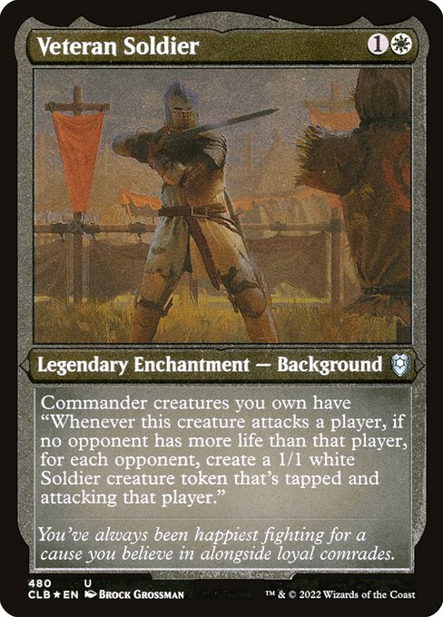 Veteran Soldier 480