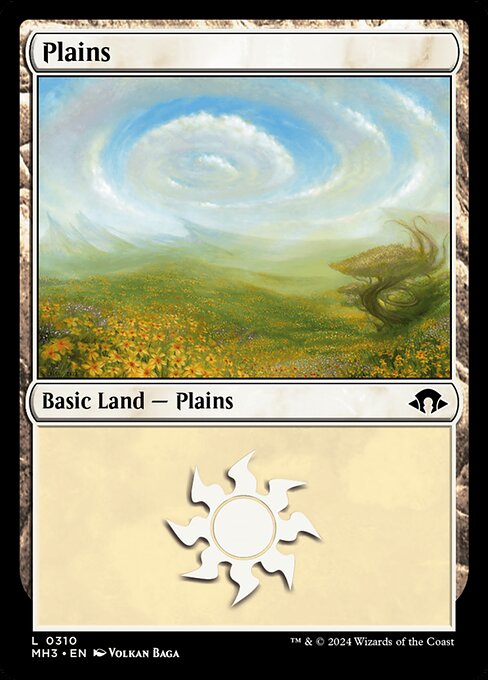 Plains 310