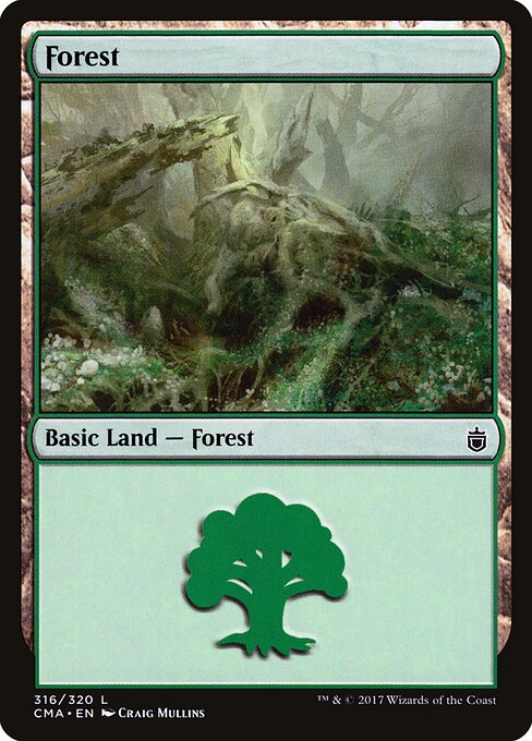 Forest 316
