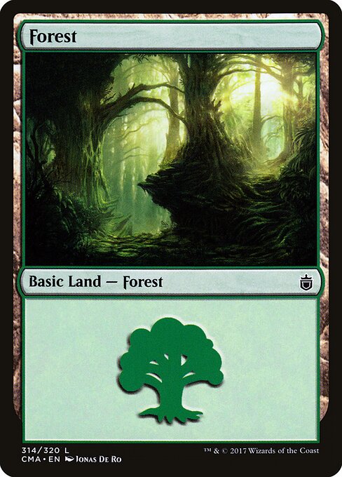 Forest 314