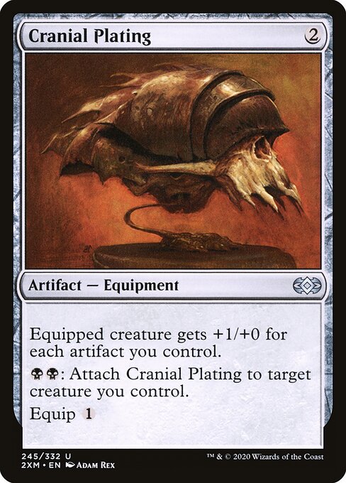 Cranial Plating 245