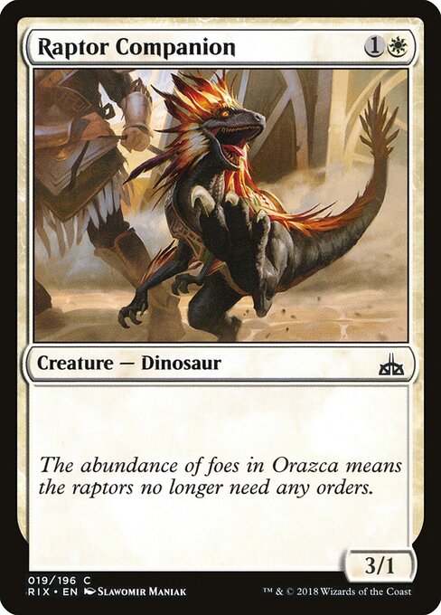 Raptor Companion 19