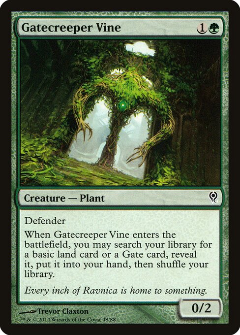 Gatecreeper Vine 48
