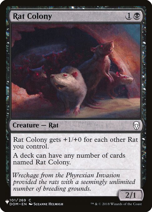Rat Colony DOM-101