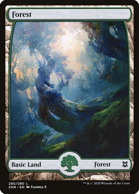 Forest 280