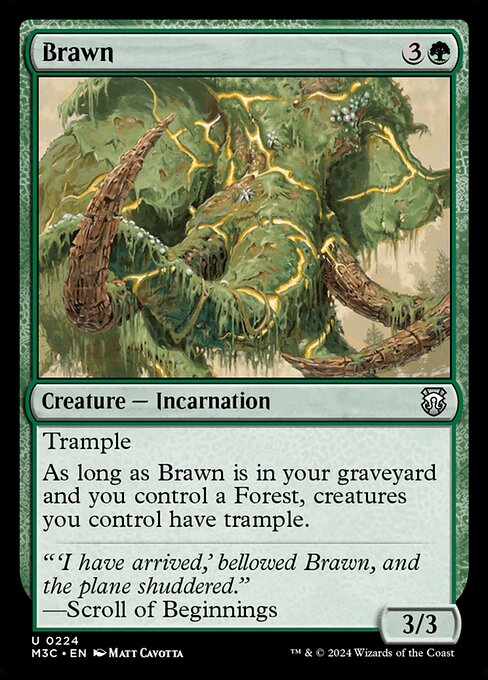 Brawn 224