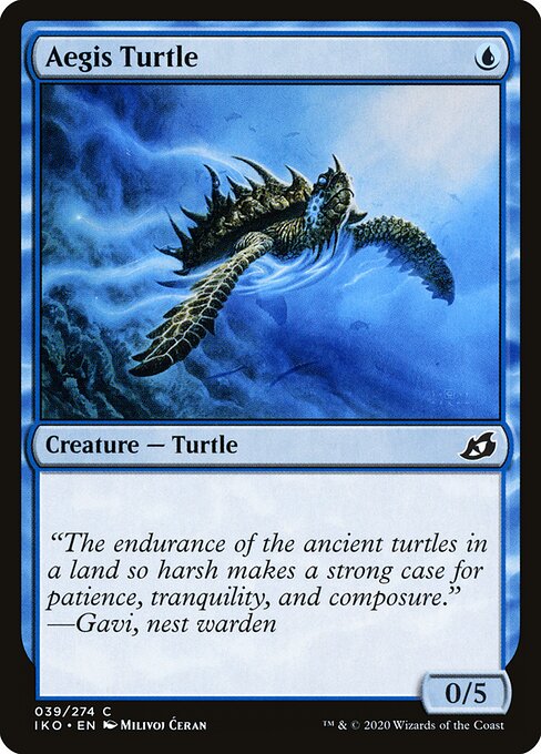 Aegis Turtle 39