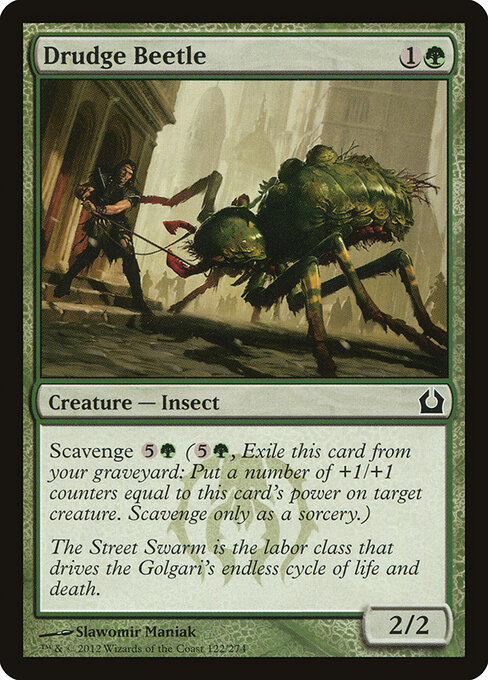 Drudge Beetle 122