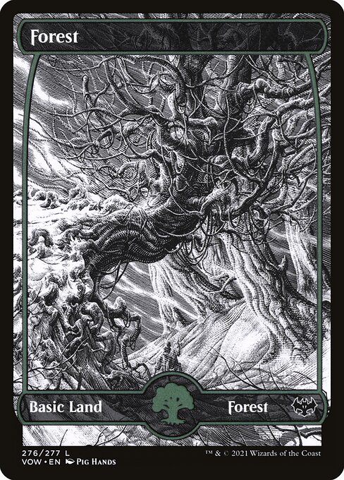 Forest 276
