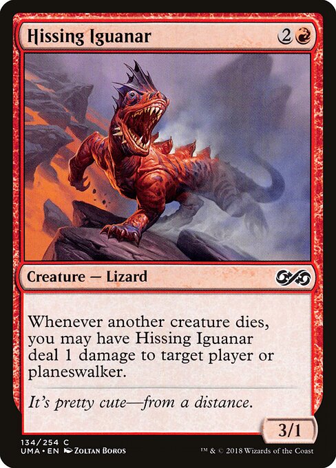Hissing Iguanar 134