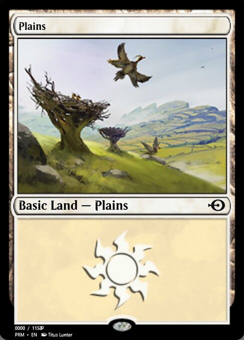 Plains 81842