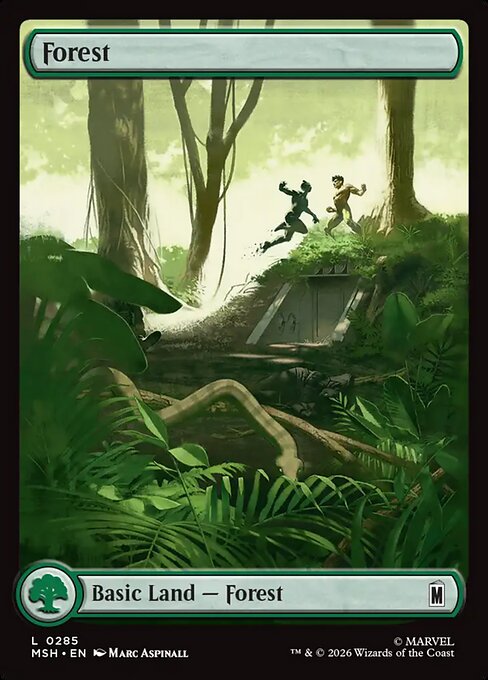 Forest 285