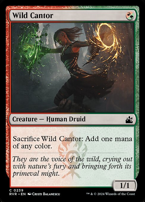 Wild Cantor 239