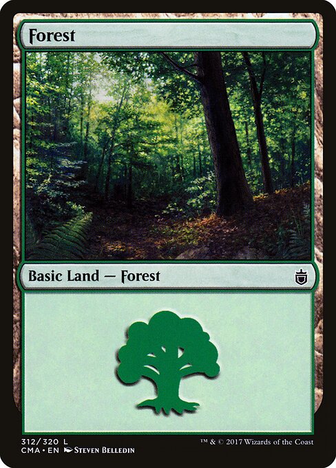 Forest 312
