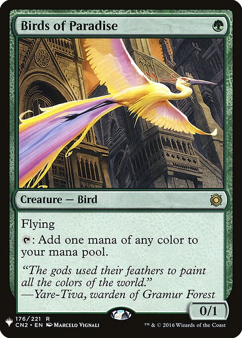 Birds of Paradise CN2-176