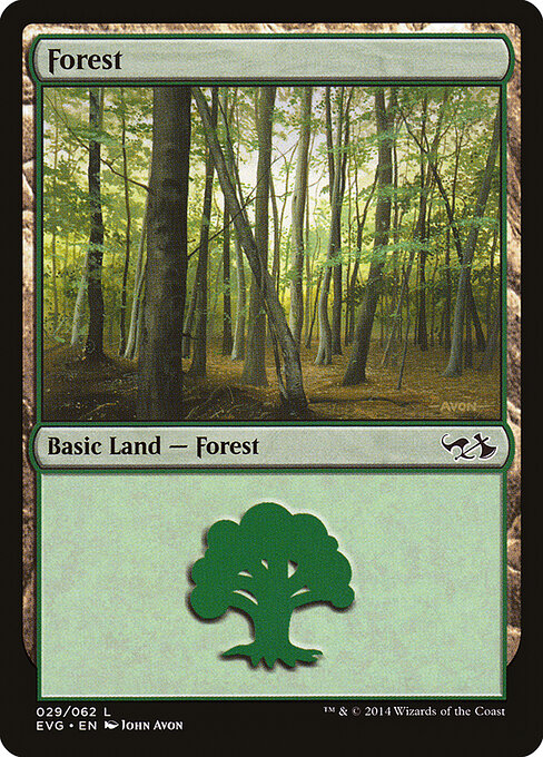 Forest 29