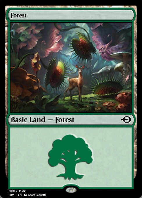 Forest 81906