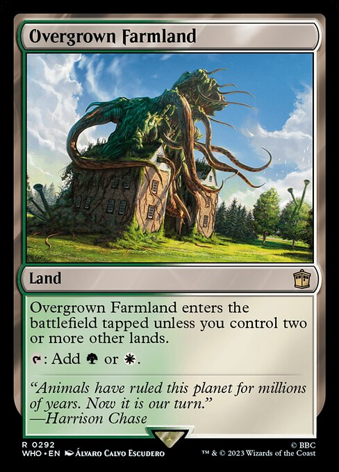 Overgrown Farmland 292