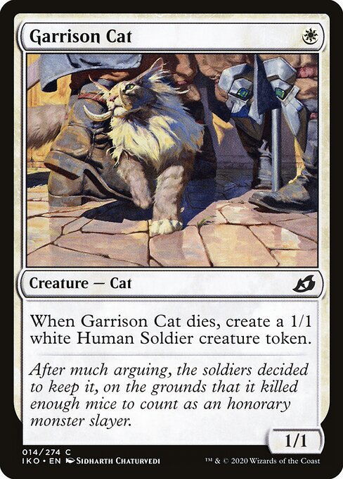 Garrison Cat 14