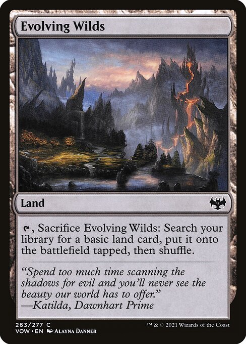 Evolving Wilds 263