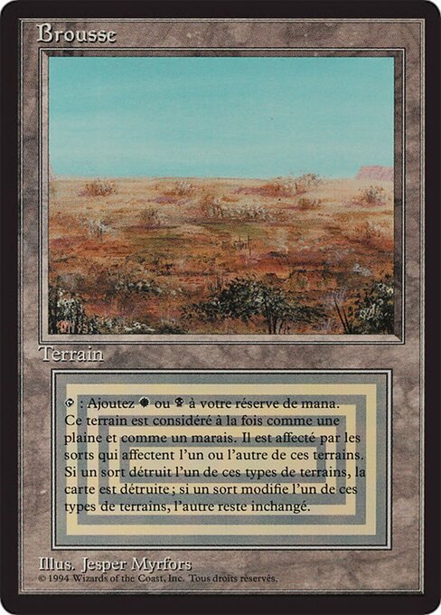 Scrubland 286