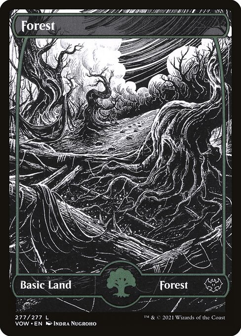 Forest 277