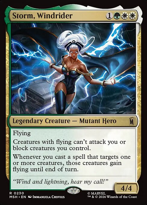 Storm, Windrider 230