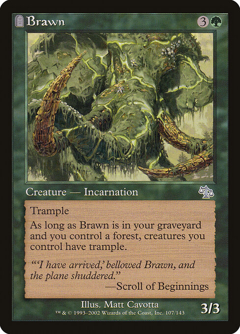 Brawn 107