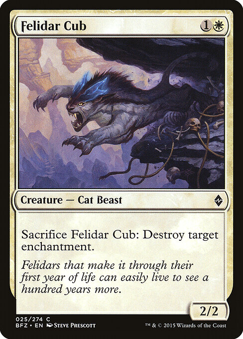 Felidar Cub 25