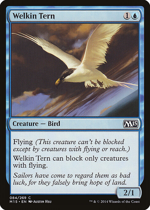 Welkin Tern 84