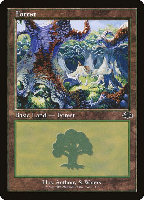 Forest 411