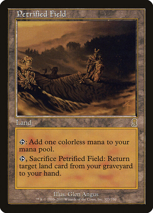 Petrified Field 323