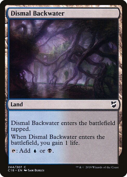 Dismal Backwater 244