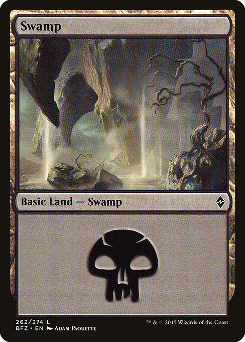 Swamp 262a