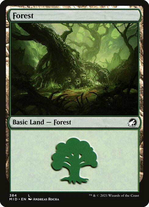 Forest 384