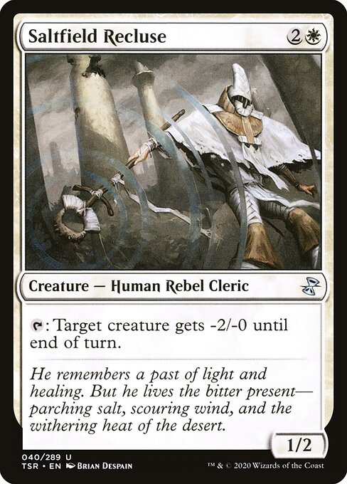 Saltfield Recluse 40
