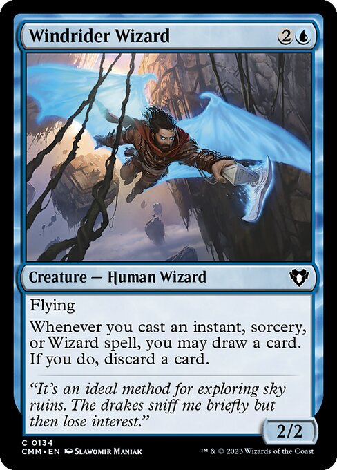 Windrider Wizard 134