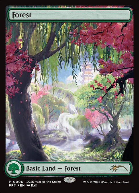 Forest 6