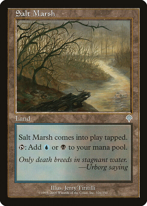 Salt Marsh 326